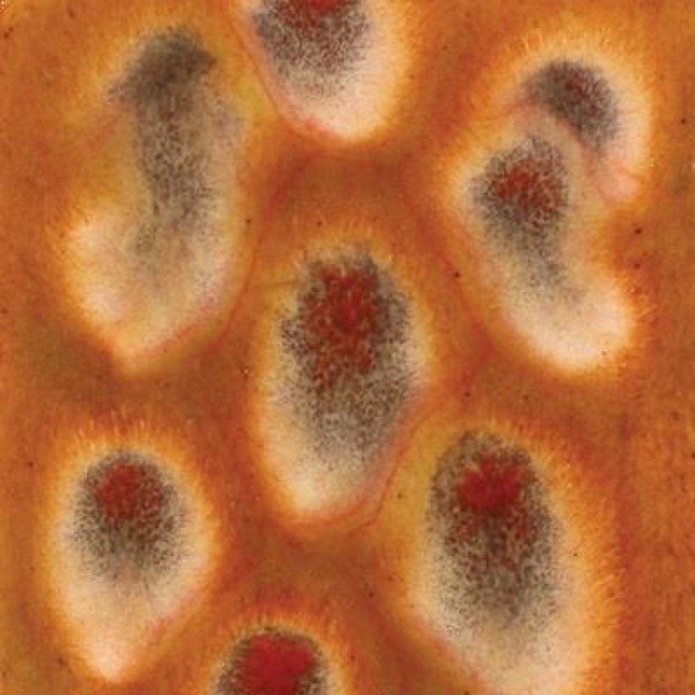 Dragons Breath - 16 oz Mayco Jungle Gem Crystal Glaze
